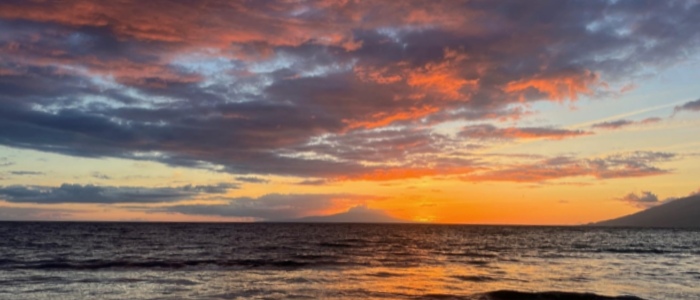Maui Stories