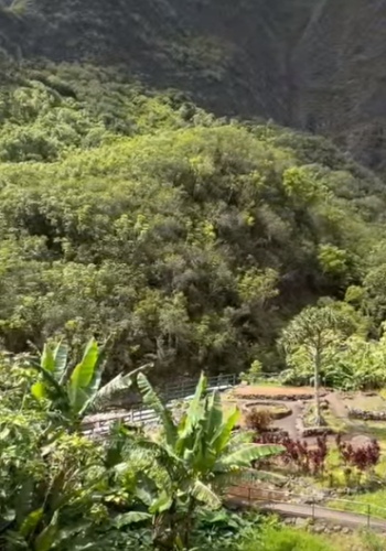 Maui Stories